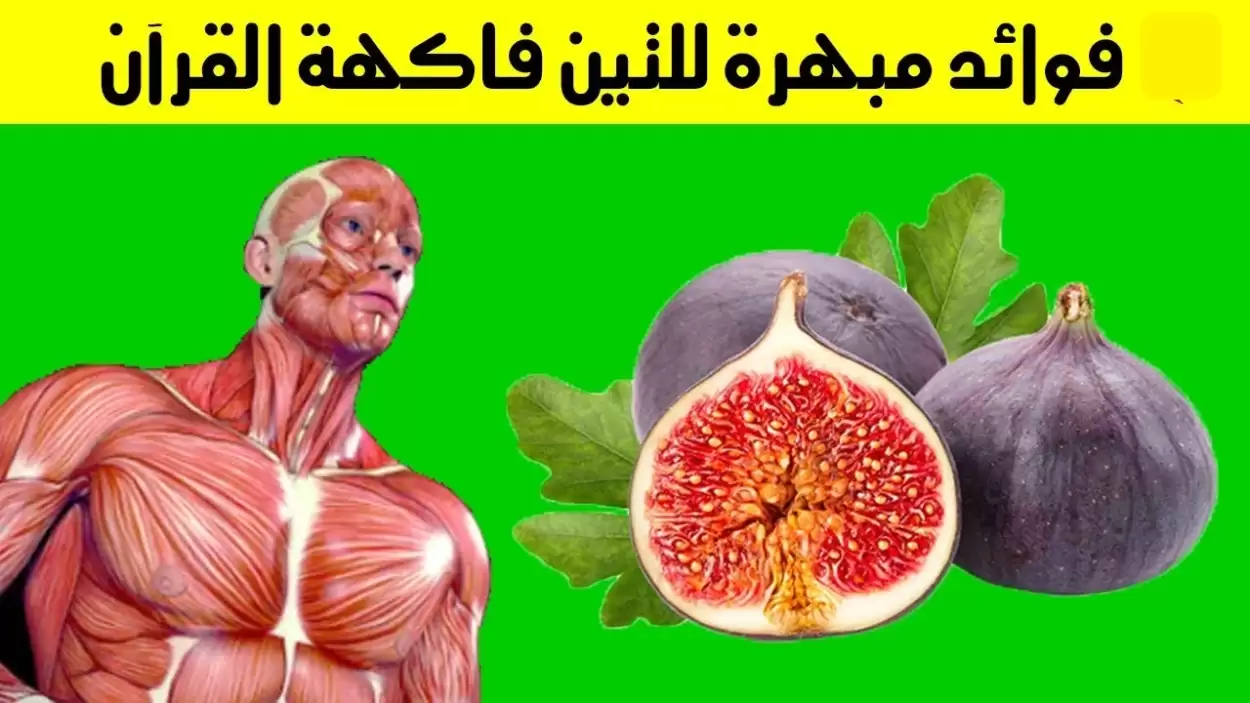 فاكهة القران الكريم : تمتلك كنز علاجي يفعل المعجزات في جسمك و تعالج السكري و الكبد وتشفي 5أمراض أخرى ( تعرف عليها) 